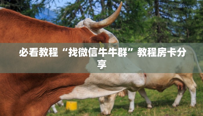  玩家科普“微信金花牛牛房卡怎么买"怎么弄房卡"详细步骤分享！！！