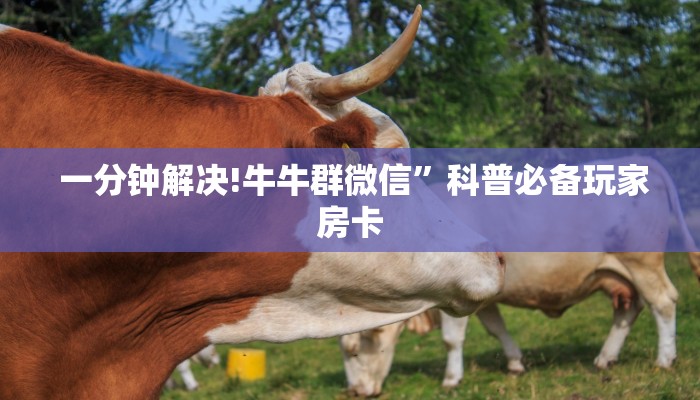  玩家科普“微信牛牛房卡如何充值”房卡详细充值
