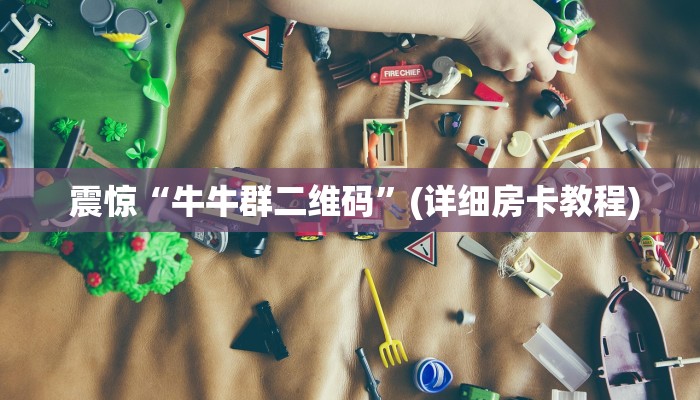  震惊“牛牛群二维码”(详细房卡教程)