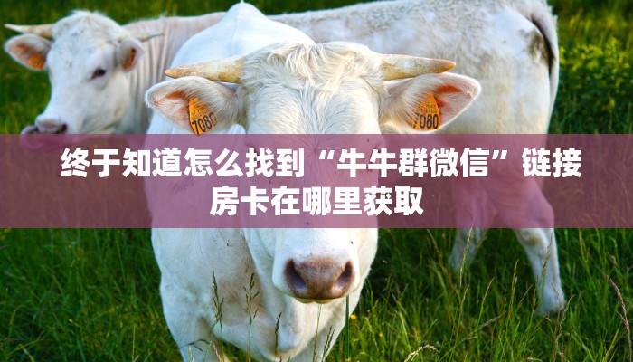  终于知道怎么找到“牛牛群微信”链接房卡在哪里获取