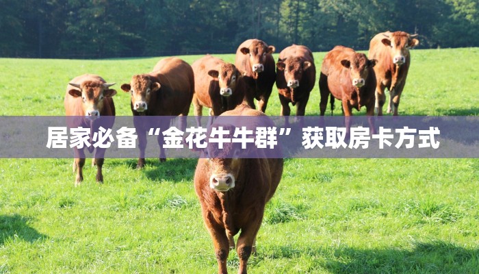  终于解决“微信房卡炸金花链接怎么弄的”详细获取房卡教程