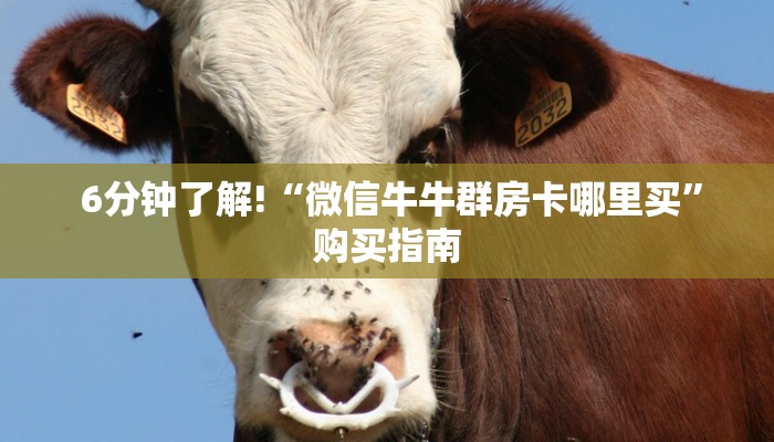 3秒了解分享"龙虎大厅金花房卡”房卡怎么购买 3秒了解分享"龙虎大厅金花房卡”房卡怎么购买