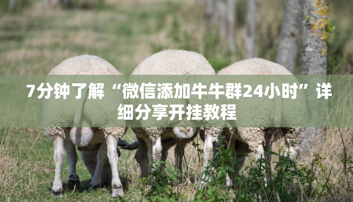  一分钟攻略“微信金花大厅房卡充值教学”科技获取房卡教程