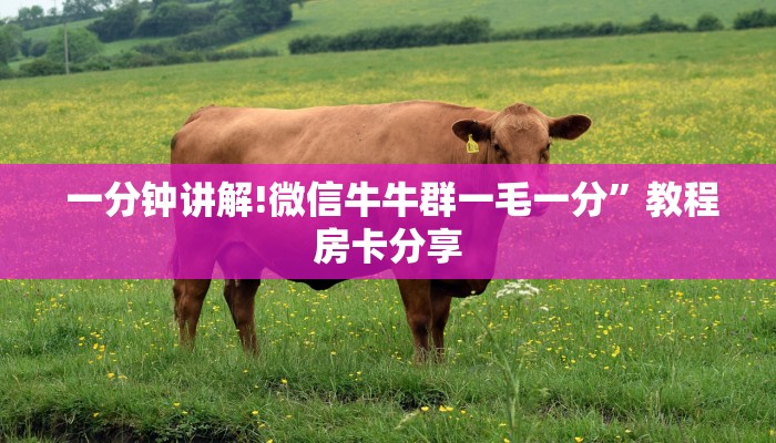  房卡测评“填大坑微信链接房卡”详细获取房卡教程