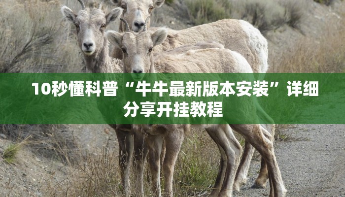  10秒懂科普“牛牛最新版本安装”详细分享开挂教程