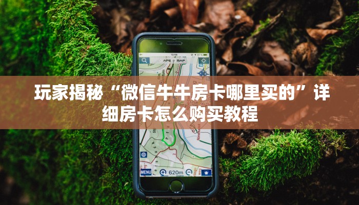  玩家揭秘“微信牛牛房卡哪里买的”详细房卡怎么购买教程