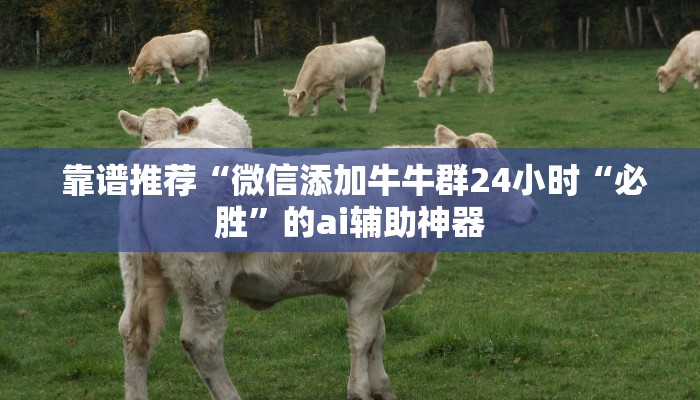 靠谱推荐“微信添加牛牛群24小时“必胜”的ai辅助神器 靠谱推荐“微信添加牛牛群24小时“必胜”的ai辅助神器