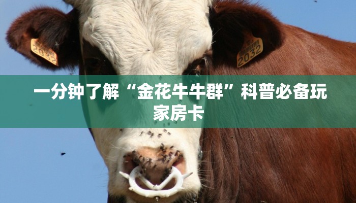  房卡百科“牛牛炸金花房卡链接”房卡实战经验