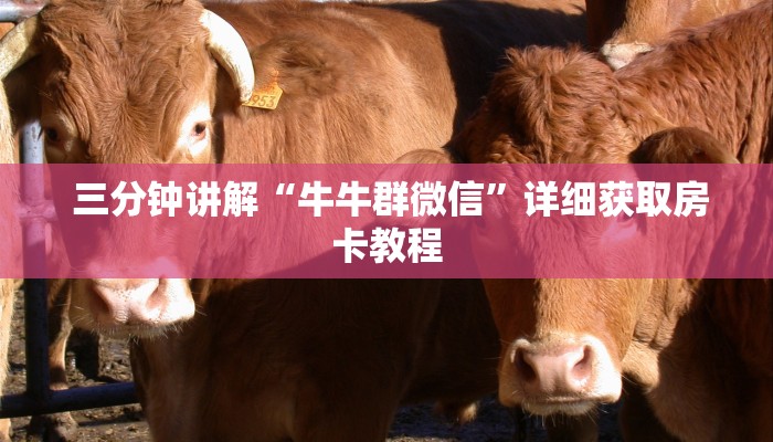  三分钟讲解“牛牛群微信”详细获取房卡教程