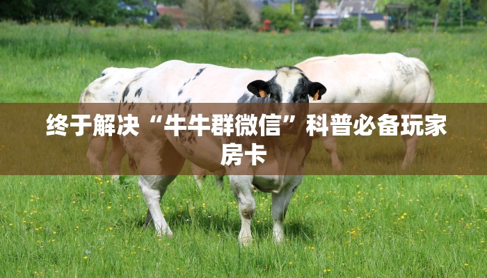  必看教程“微信牛牛房卡链接在哪弄得""低价获取"!’分享房卡给大家