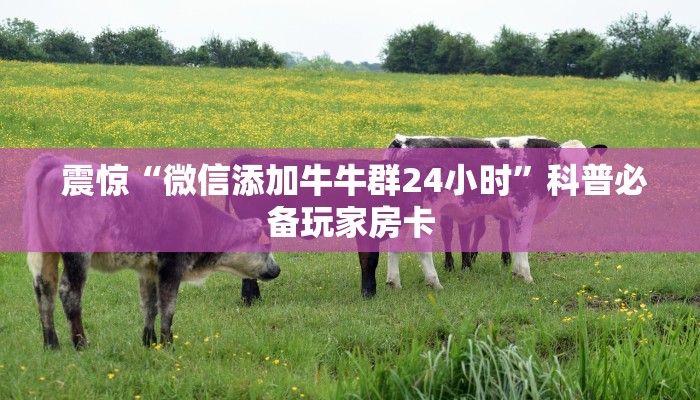  震惊“微信添加牛牛群24小时”科普必备玩家房卡