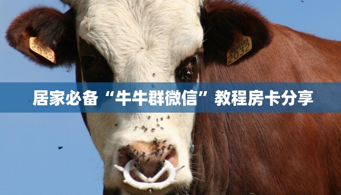  居家必备“牛牛群微信”教程房卡分享