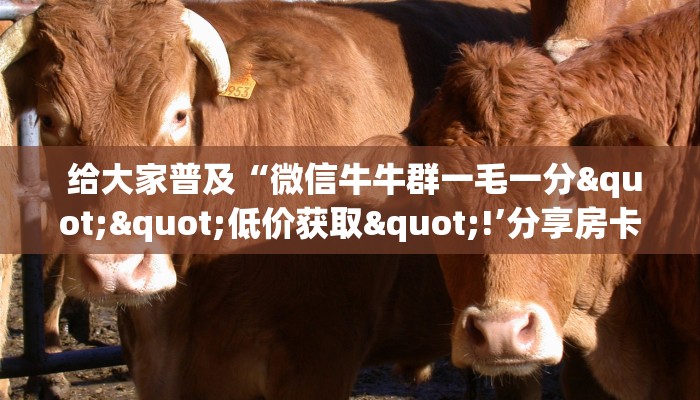  玩家攻略“微信金花链接房卡平台推荐”获取房卡教程