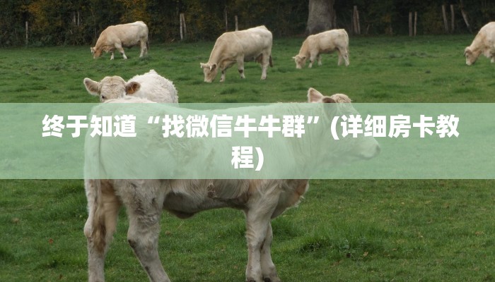  房卡获取方式“15元100张房卡代理”(详细房卡教程)