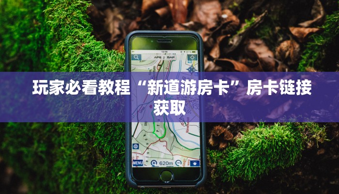  玩家必看教程“新道游房卡”房卡链接获取