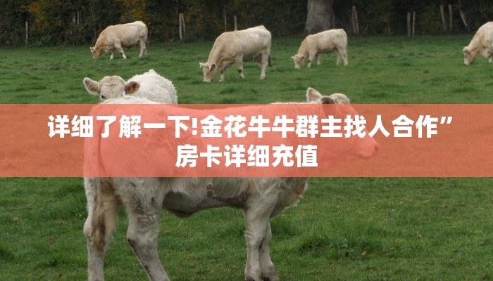  必看教程“牛魔王房卡在哪买”(详细房卡教程)