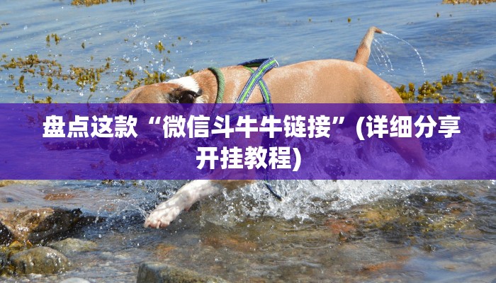  盘点这款“牛牛房卡在哪里""充值方式"分享房卡给大家