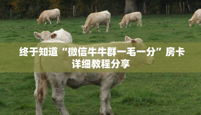  一分钟教会你"微信金花房卡哪里弄便宜”房卡如何领取