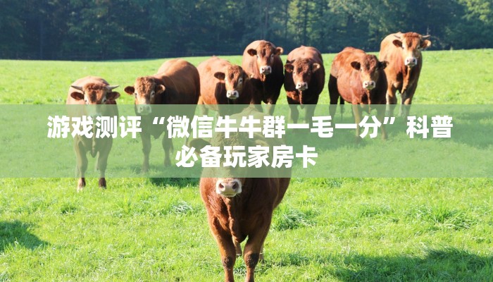  玩家揭秘“微信牛牛金花群”详细房卡怎么购买教程