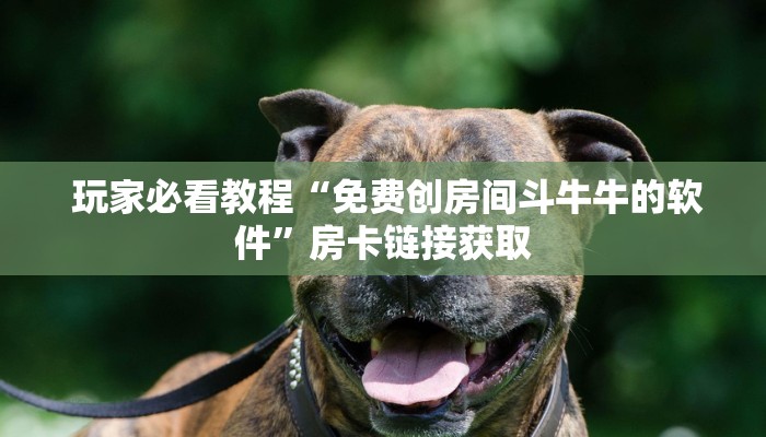  玩家必看教程“免费创房间斗牛牛的软件”房卡链接获取