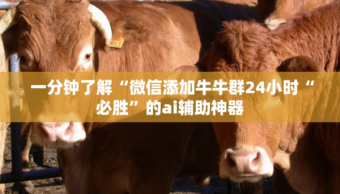  一分钟了解“微信添加牛牛群24小时“必胜”的ai辅助神器