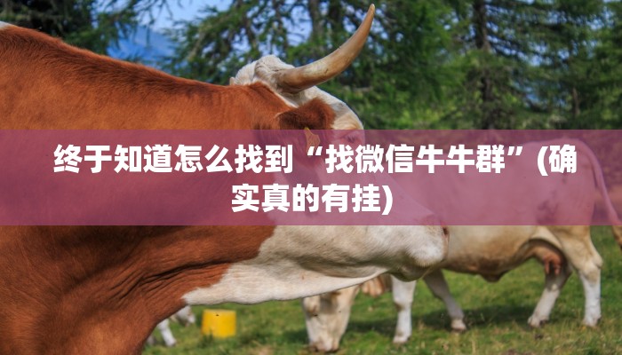  盘点这款“微信牛牛链接版 有房卡”独家房卡怎么购买方式