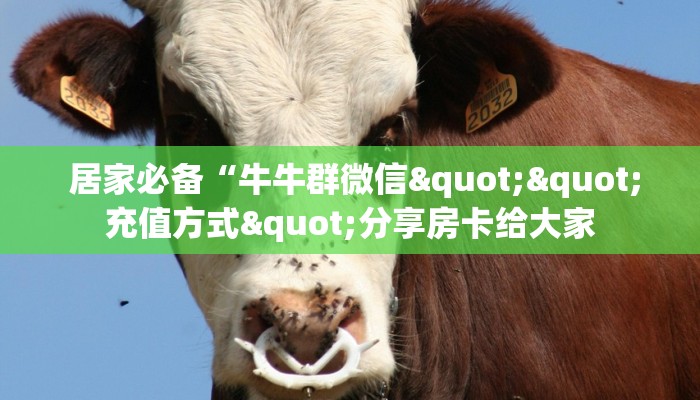  终于解决“充值金花链接房卡“必胜”的ai辅助神器
