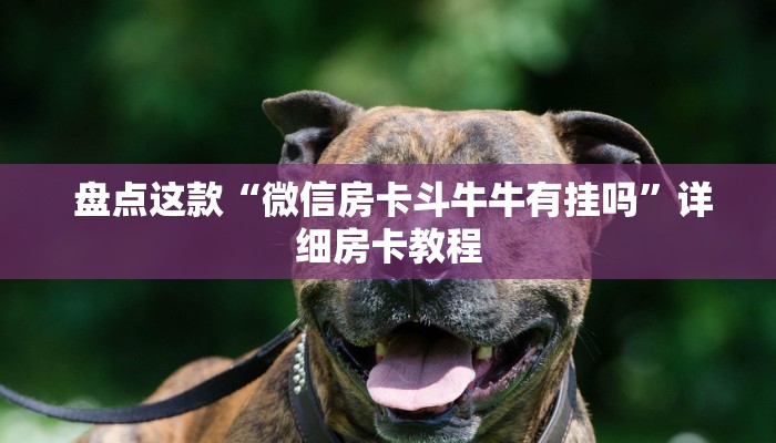  盘点这款“微信房卡斗牛牛有挂吗”详细房卡教程