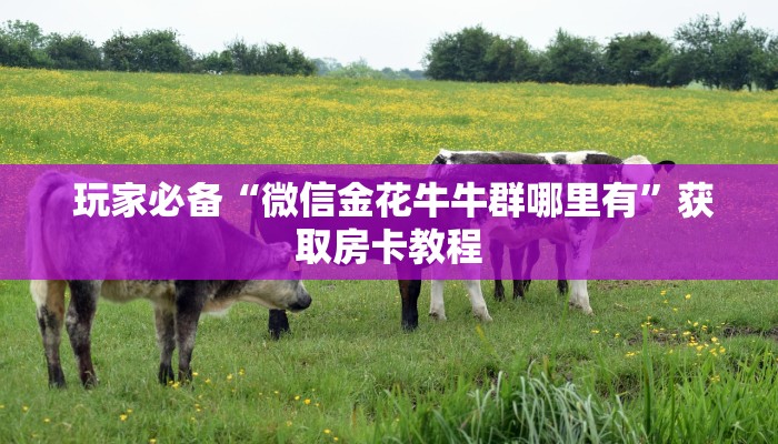  玩家必备“微信金花牛牛群哪里有”获取房卡教程