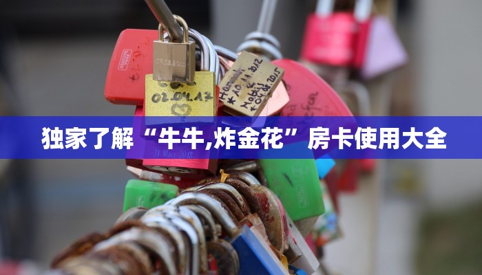  玩家攻略“金花牛牛微信房卡""充值方式"分享房卡给大家