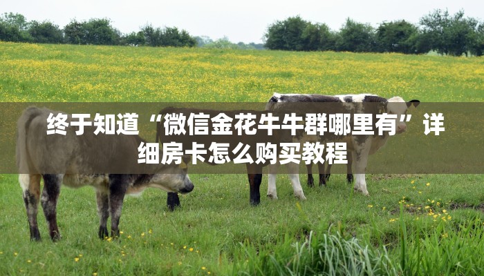  靠谱推荐“狂飙大厅牛牛金花房卡”使用房卡购买教程