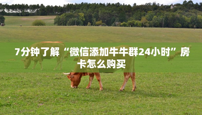  一分钟讲解!填大坑微信链接房卡“必胜”的ai辅助神器