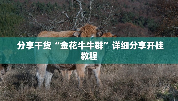  一分钟介绍“微信牛牛金花上家”使用房卡购买教程 ”教程房卡分享