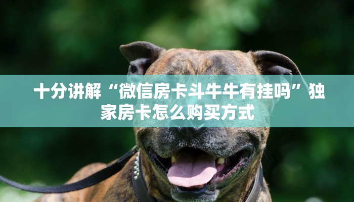  十分讲解“微信房卡斗牛牛有挂吗”独家房卡怎么购买方式