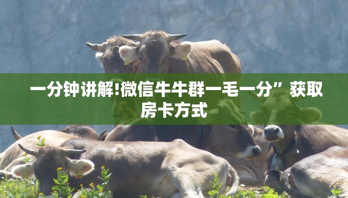  一分钟讲解!微信牛牛群一毛一分”获取房卡方式
