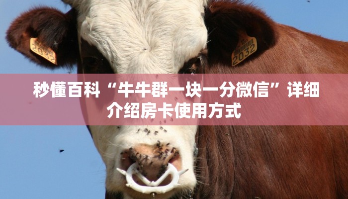  秒懂百科“牛牛群一块一分微信”详细介绍房卡使用方式