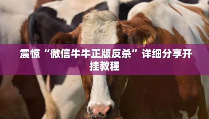  玩家科普“能玩牛牛炸金花的手游”详细分享开挂教程