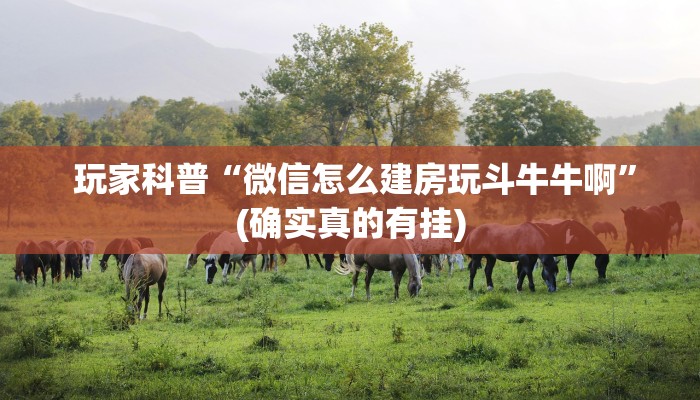  玩家科普“微信怎么建房玩斗牛牛啊”(确实真的有挂)