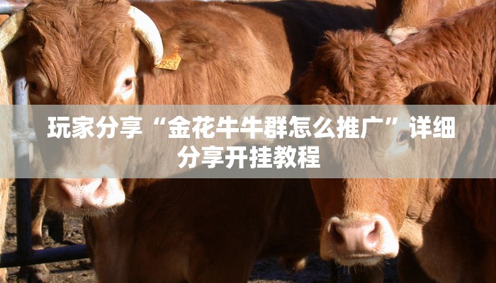  科普!“一元一分金花牛牛微信群”独家房卡怎么购买方式
