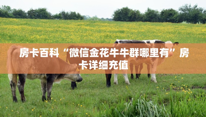  房卡百科“微信金花牛牛群哪里有”房卡详细充值