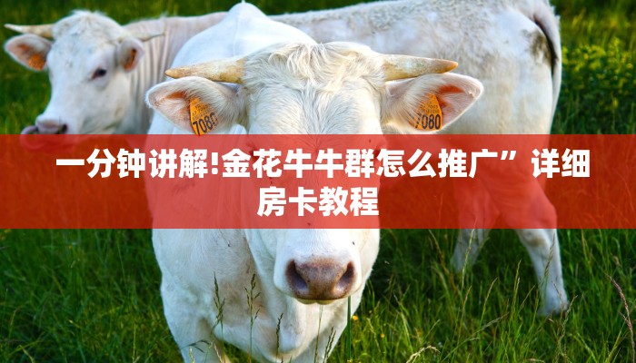  一分钟讲解!金花牛牛群怎么推广”详细房卡教程