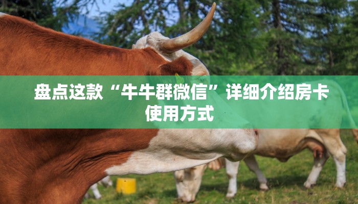  盘点这款“牛牛群微信”详细介绍房卡使用方式