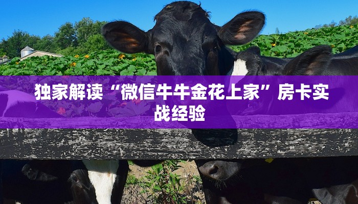  玩家测评“微信金花链接房卡平台”房卡使用教程