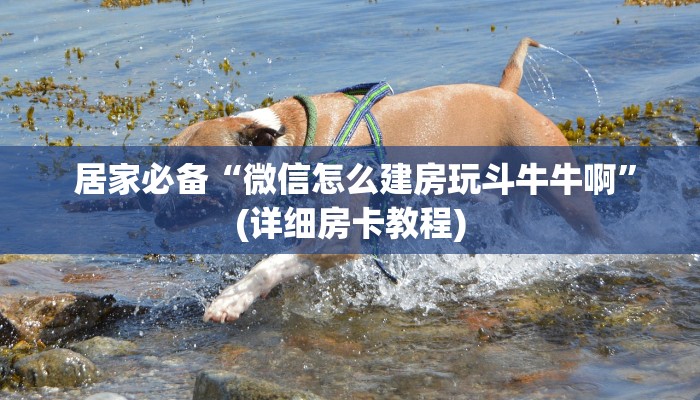  游戏测评“新全游大厅金花房卡”(详细分享开挂教程)