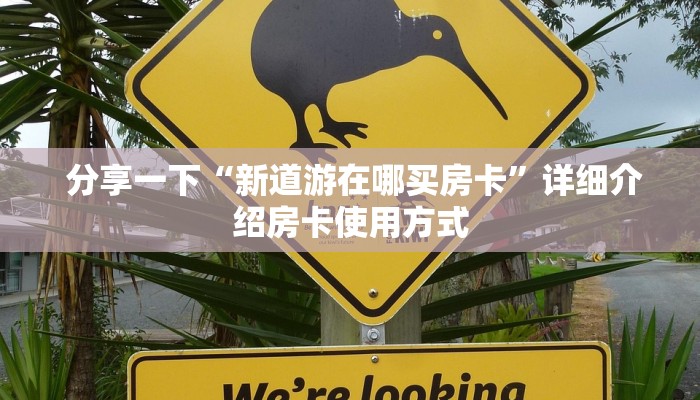  分享一下“新道游在哪买房卡”详细介绍房卡使用方式