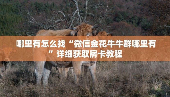  房卡必备教程“微信牛牛房卡在哪里充值”详细分享开挂教程