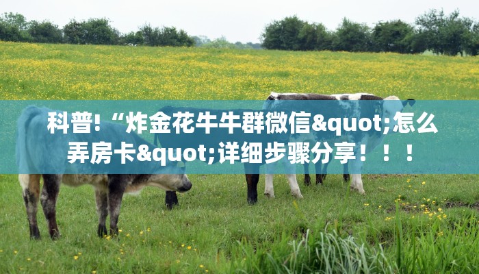 科普!“炸金花牛牛群微信"怎么弄房卡"详细步骤分享!!! 科普!“炸金花牛牛群微信"怎么弄房卡"详细步骤分享!!!