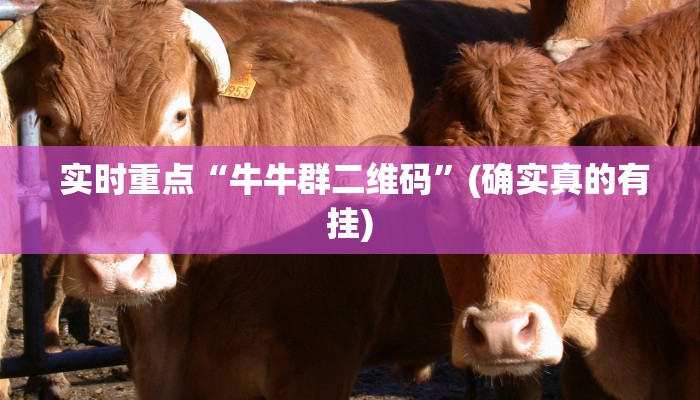  实时重点“牛牛群二维码”(确实真的有挂)