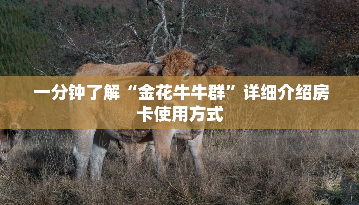  一分钟了解“金花牛牛群”详细介绍房卡使用方式