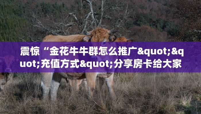  房卡百科“皇豪互娱购买房卡""低价获取"!’分享房卡给大家